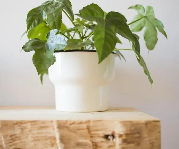 Prázdninový dům Casa Turistica Me Quedo En El Pueblo Muñana